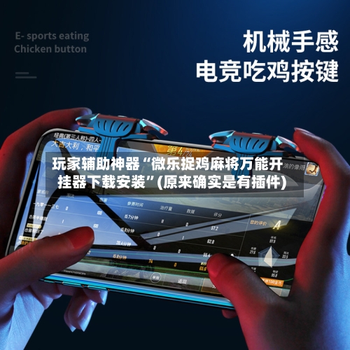 玩家辅助神器“微乐捉鸡麻将万能开挂器下载安装”(原来确实是有插件)