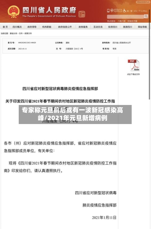 专家称元旦前后或有一波新冠感染高峰/2021年元旦新增病例