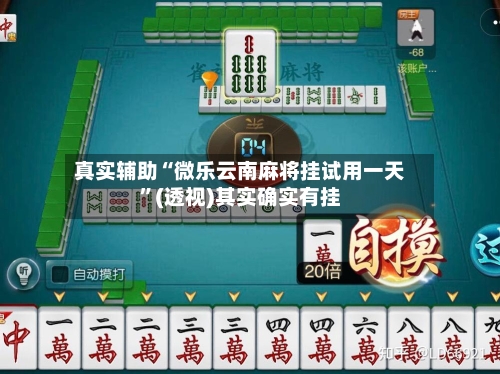 真实辅助“微乐云南麻将挂试用一天”(透视)其实确实有挂