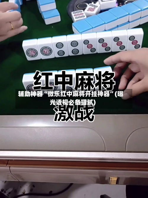 辅助神器“微乐红中麻将开挂神器”(曝光透视必备猫腻)