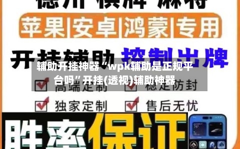 辅助开挂神器“wpk辅助是正规平台吗”开挂(透视)辅助神器