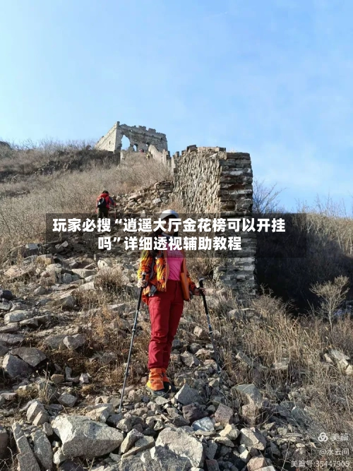 玩家必搜“逍遥大厅金花榜可以开挂吗”详细透视辅助教程