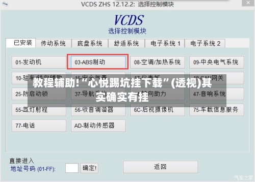 教程辅助!“心悦踢坑挂下载”(透视)其实确实有挂