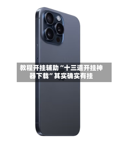 教程开挂辅助“十三道开挂神器下载”其实确实有挂