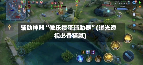 辅助神器“微乐掼蛋辅助器”(曝光透视必备猫腻)