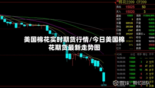 美国棉花实时期货行情/今日美国棉花期货最新走势图
