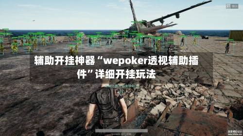 辅助开挂神器“wepoker透视辅助插件”详细开挂玩法