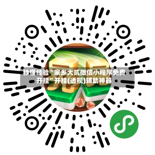 秒懂经验“家乡大贰微信小程序免费开挂”开挂(透视)辅助神器