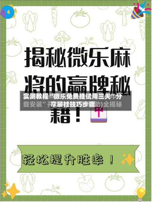 实测教程“微乐免费挂试用三天”分享装挂技巧步骤