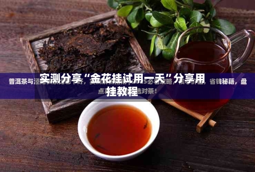 实测分享“金花挂试用一天”分享用挂教程