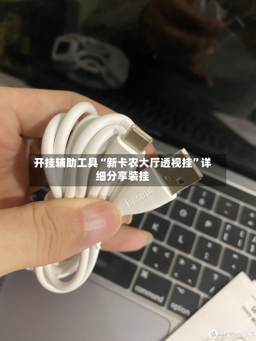 开挂辅助工具“新卡农大厅透视挂”详细分享装挂