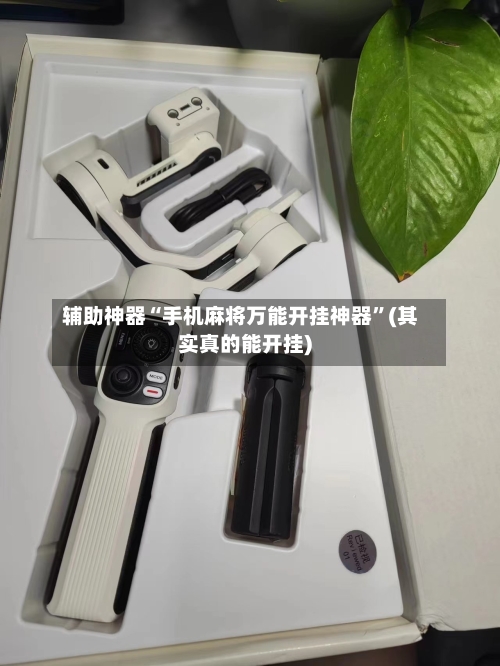 辅助神器“手机麻将万能开挂神器”(其实真的能开挂)