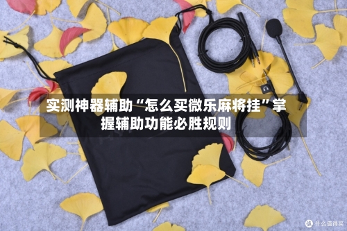 实测神器辅助“怎么买微乐麻将挂”掌握辅助功能必胜规则