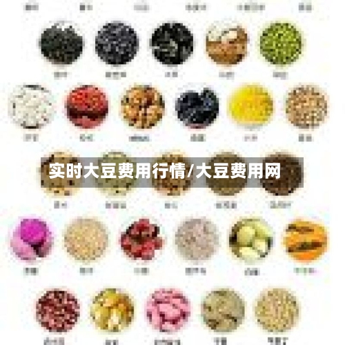 实时大豆费用行情/大豆费用网