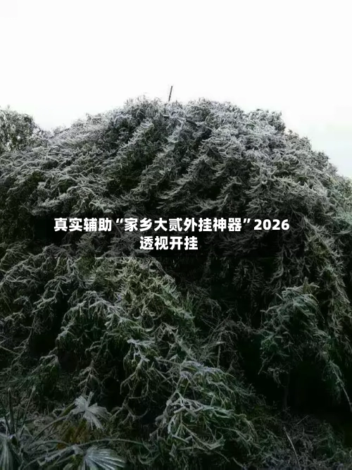 真实辅助“家乡大贰外挂神器”2026透视开挂