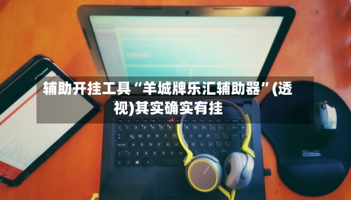 辅助开挂工具“羊城牌乐汇辅助器”(透视)其实确实有挂