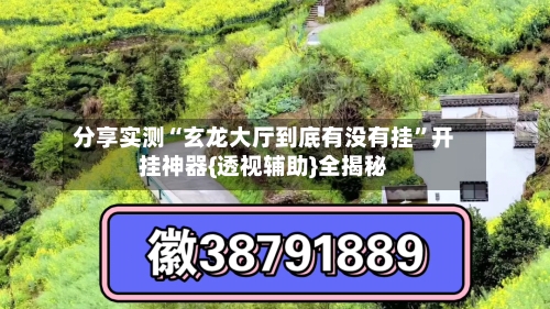 分享实测“玄龙大厅到底有没有挂”开挂神器{透视辅助}全揭秘