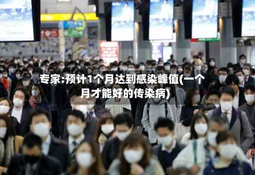 专家:预计1个月达到感染峰值(一个月才能好的传染病)