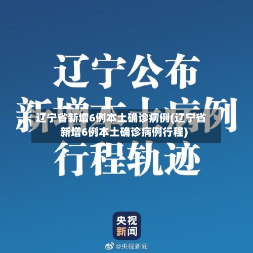 辽宁省新增6例本土确诊病例(辽宁省新增6例本土确诊病例行程)