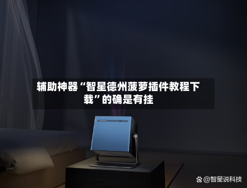辅助神器“智星德州菠萝插件教程下载”的确是有挂