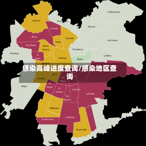 感染高峰进度查询/感染地区查询