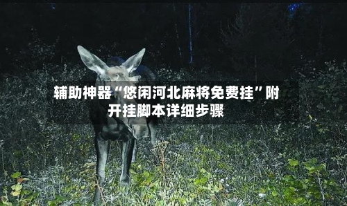 辅助神器“悠闲河北麻将免费挂”附开挂脚本详细步骤