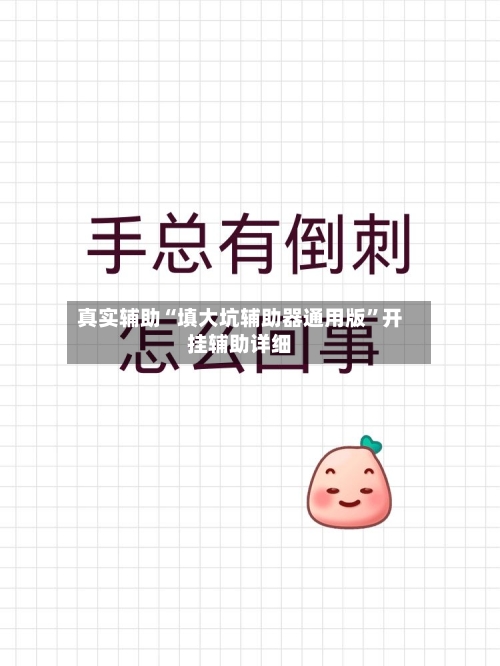 真实辅助“填大坑辅助器通用版”开挂辅助详细