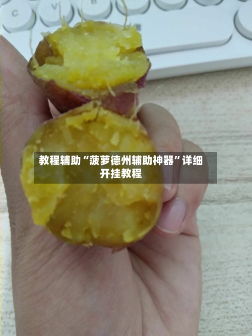 教程辅助“菠萝德州辅助神器”详细开挂教程
