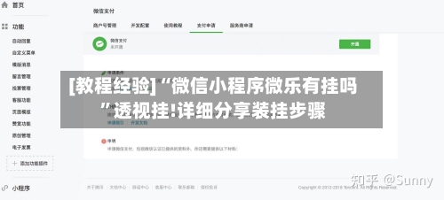 [教程经验]“微信小程序微乐有挂吗”透视挂!详细分享装挂步骤
