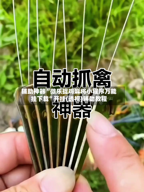 辅助神器“微乐捉鸡麻将小程序万能挂下载”开挂(透视)辅助教程