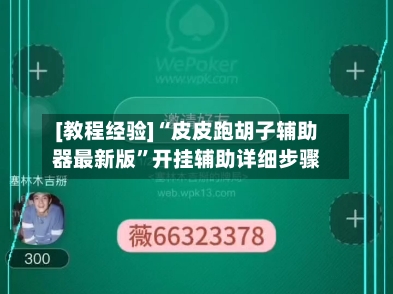 [教程经验]“皮皮跑胡子辅助器最新版”开挂辅助详细步骤