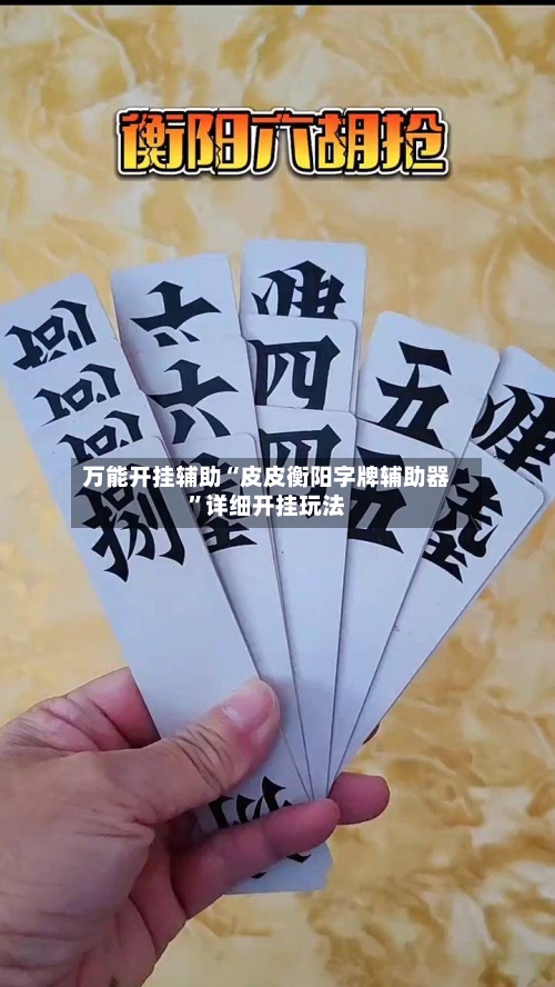 万能开挂辅助“皮皮衡阳字牌辅助器”详细开挂玩法