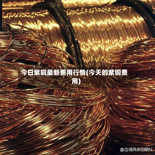 今日紫铜最新费用行情(今天的紫铜费用)