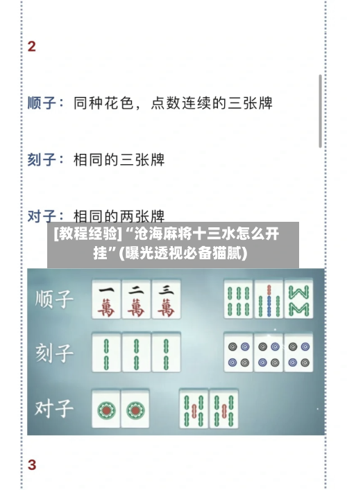 [教程经验]“沧海麻将十三水怎么开挂”(曝光透视必备猫腻)