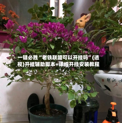一键必胜“老铁联盟可以开挂吗”(透视)开挂辅助脚本+详细开挂安装教程
