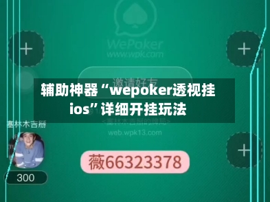 辅助神器“wepoker透视挂ios”详细开挂玩法