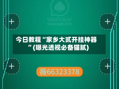 今日教程“家乡大贰开挂神器”(曝光透视必备猫腻)