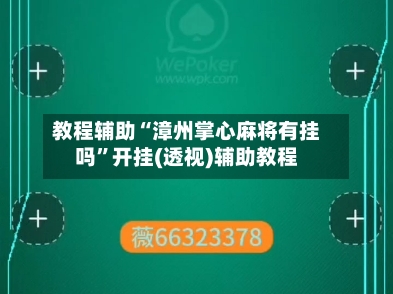 教程辅助“漳州掌心麻将有挂吗”开挂(透视)辅助教程