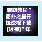 辅助教程“德扑之星开挂透视下载(透视)”详细开挂玩法