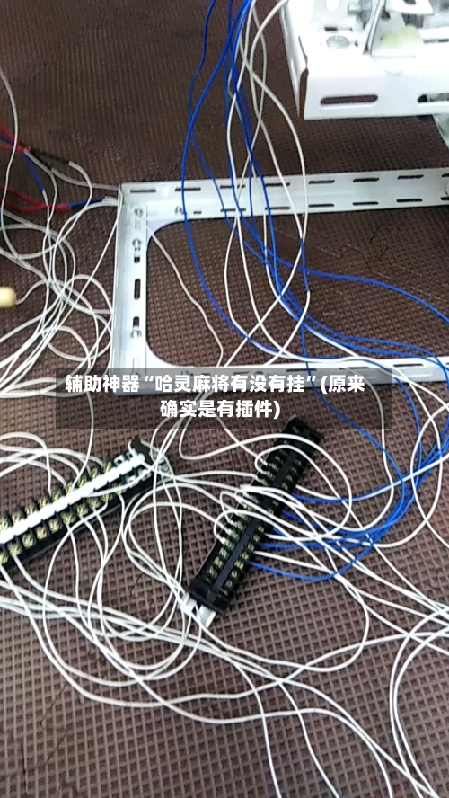 辅助神器“哈灵麻将有没有挂”(原来确实是有插件)