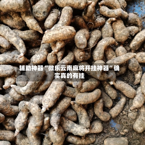 辅助神器“微乐云南麻将开挂神器”确实真的有挂