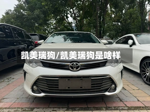凯美瑞狗/凯美瑞狗是啥样