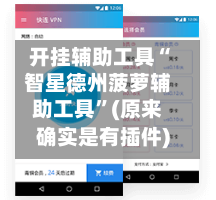 开挂辅助工具“智星德州菠萝辅助工具”(原来确实是有插件)