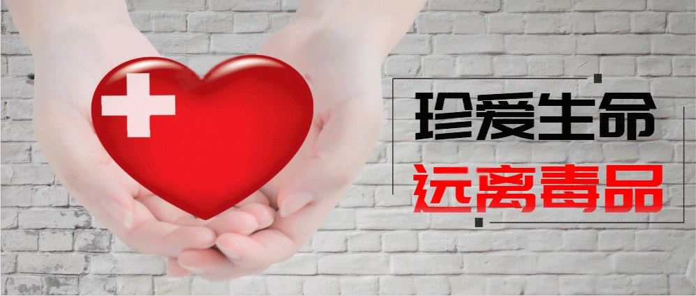沈阳市最新疫情通报(沈阳市最新疫情动态)