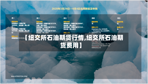 【纽交所石油期货行情,纽交所石油期货费用】