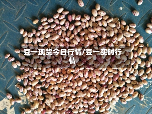 豆一现货今日行情/豆一实时行情