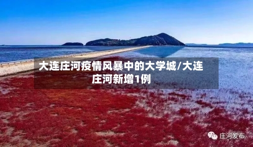 大连庄河疫情风暴中的大学城/大连庄河新增1例
