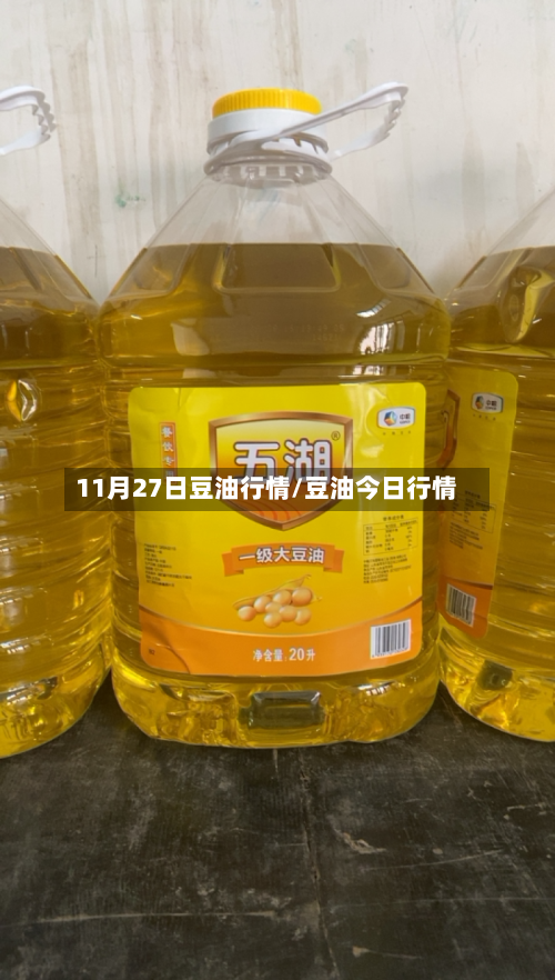 11月27日豆油行情/豆油今日行情