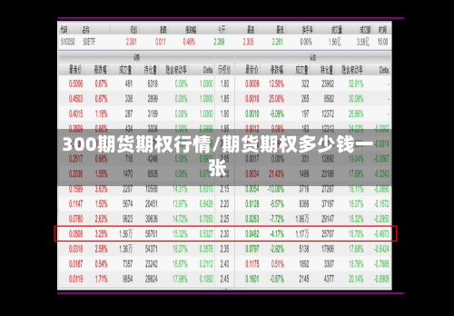300期货期权行情/期货期权多少钱一张