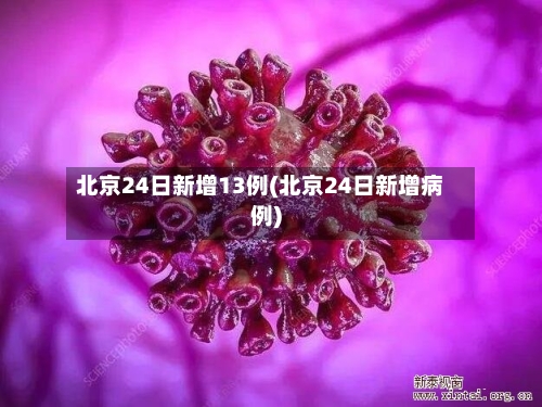 北京24日新增13例(北京24日新增病例)